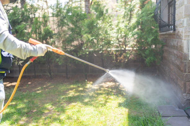 Outdoor Pest Control in Woodburn, VA